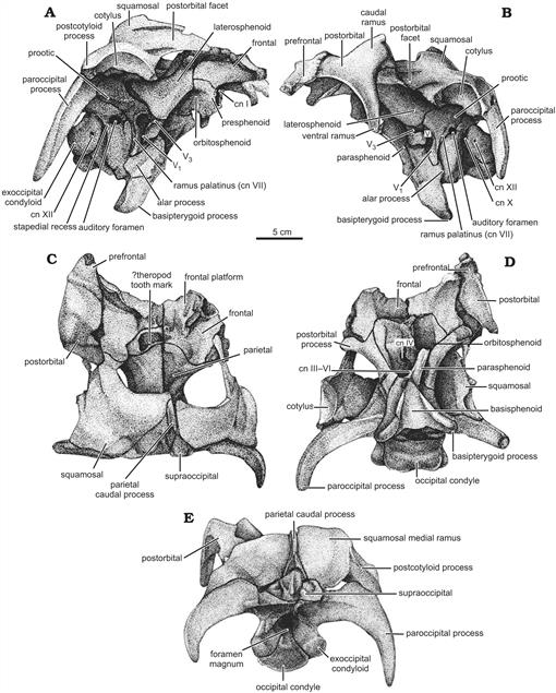 f04_527.jpg