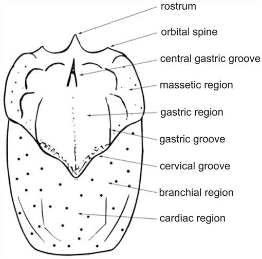 f03_655.jpg