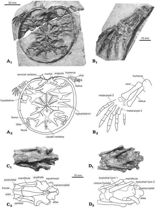 f03_575.jpg