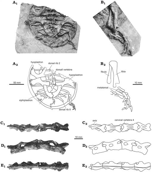 f04_575.jpg