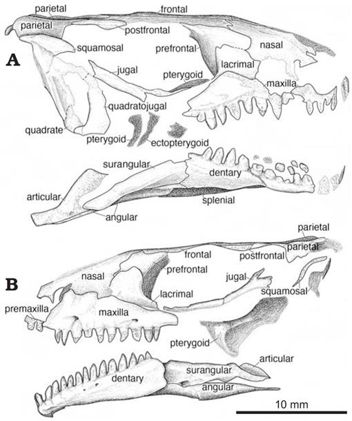 f04_737.jpg