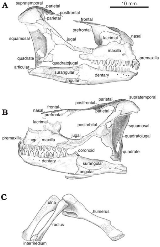 f06_737.jpg