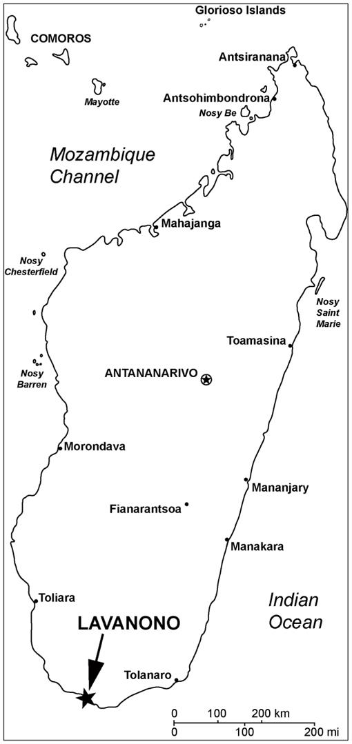 f01_21.jpg