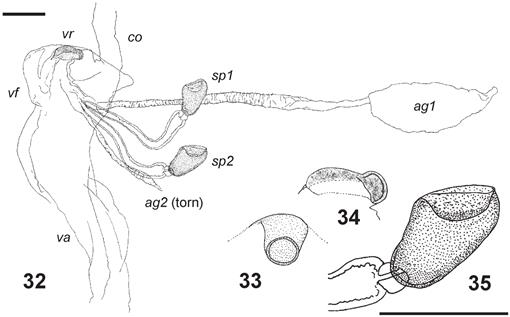 f32_145.jpg