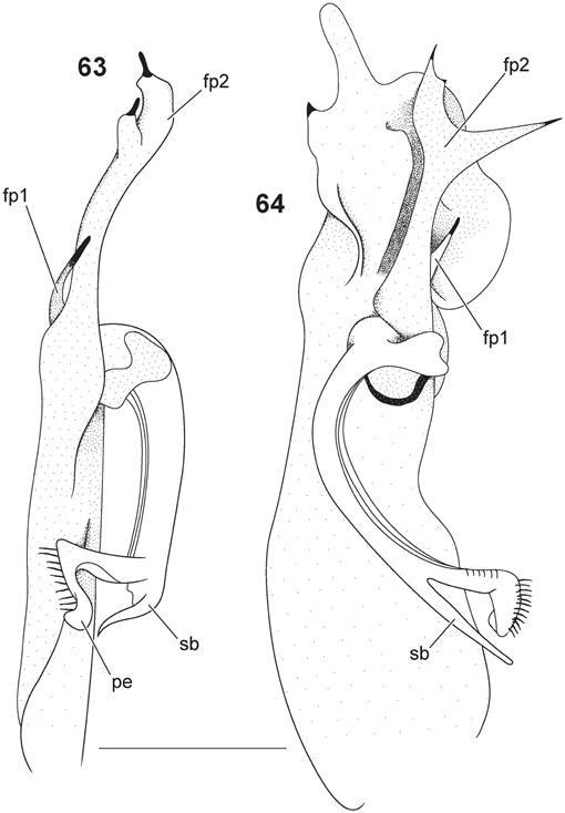 f63_251.jpg