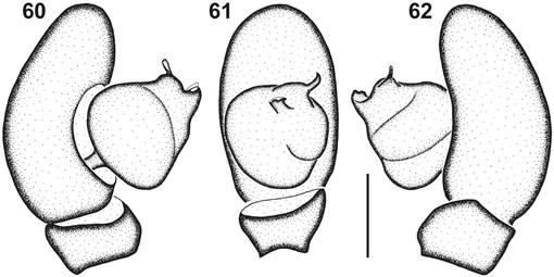 f60_343.jpg