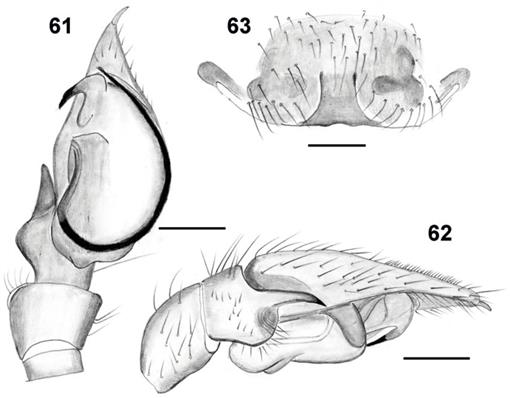 f61_455.jpg