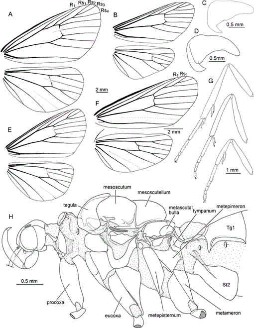 i0003-0090-321-1-1-f038.gif