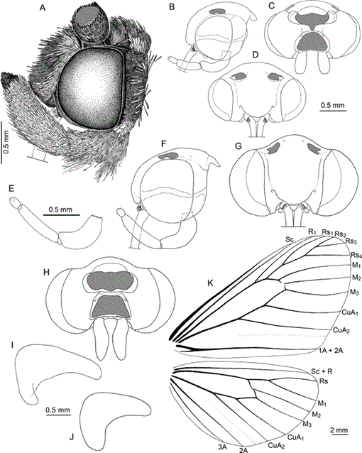 i0003-0090-321-1-1-f064.gif