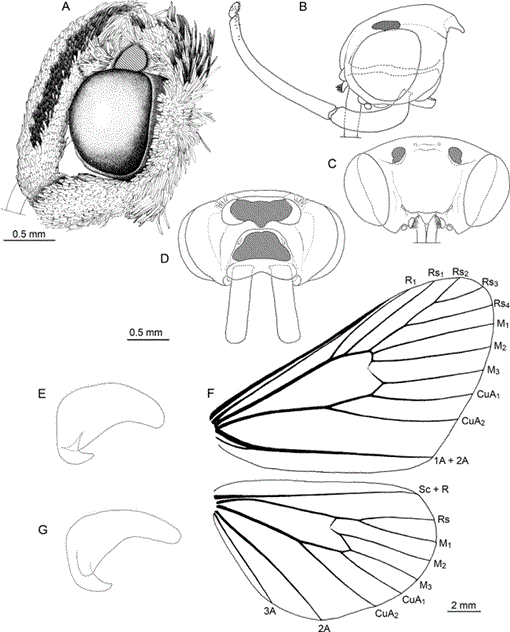 i0003-0090-321-1-1-f070.gif