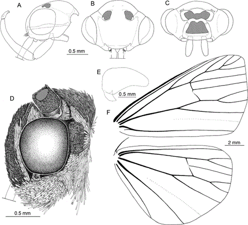 i0003-0090-321-1-1-f084.gif