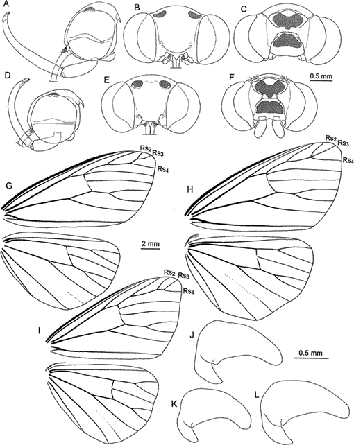 i0003-0090-321-1-1-f090.gif