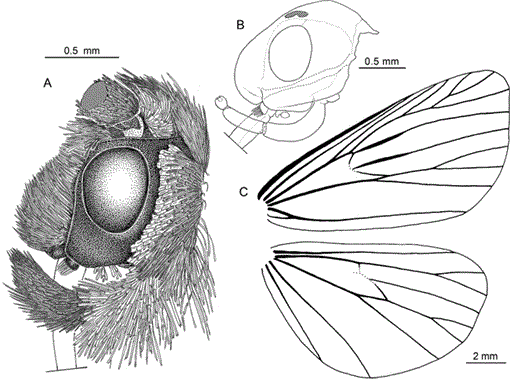 i0003-0090-321-1-1-f244.gif