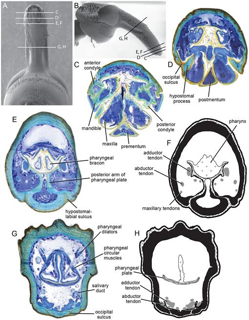 f48_01.jpg