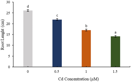 10.1177_11786221221114310-fig4.tif