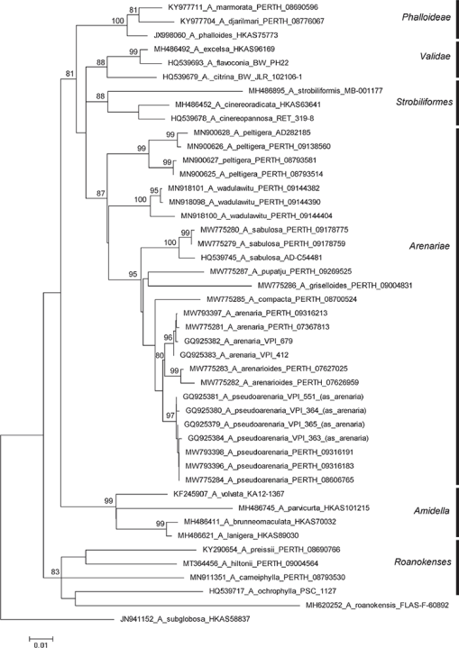 SB21017_F1.gif