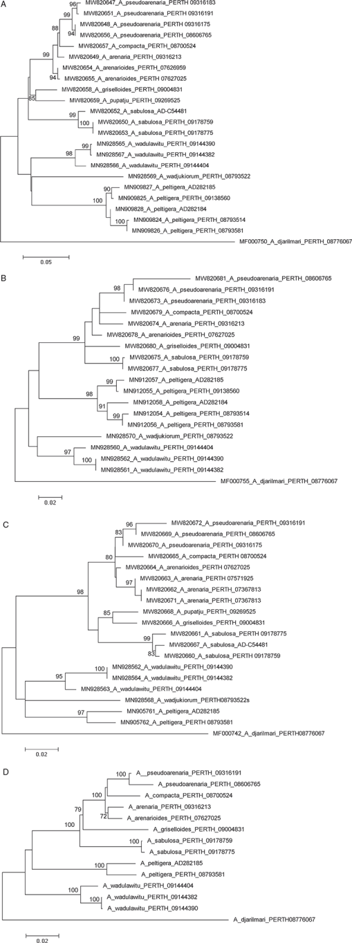 SB21017_F2.gif