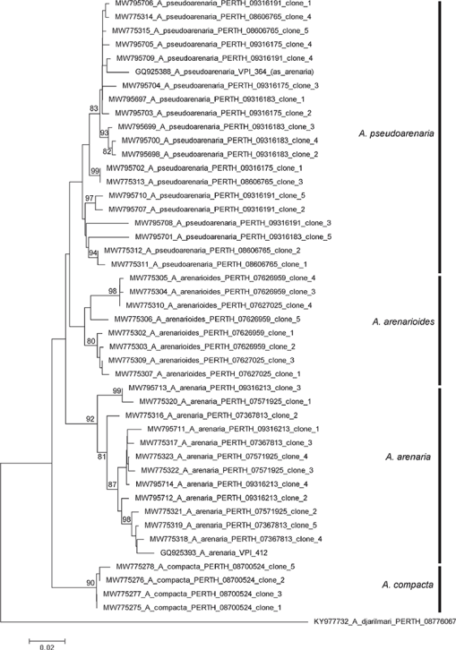 SB21017_F3.gif