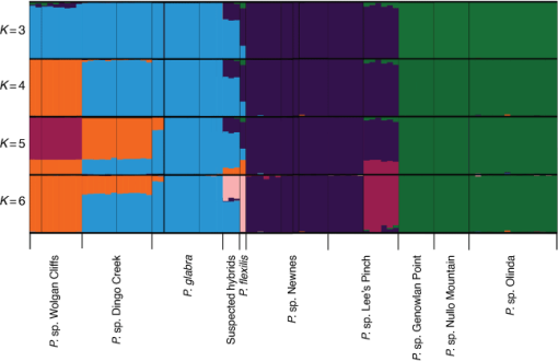 SB21030_F7.gif