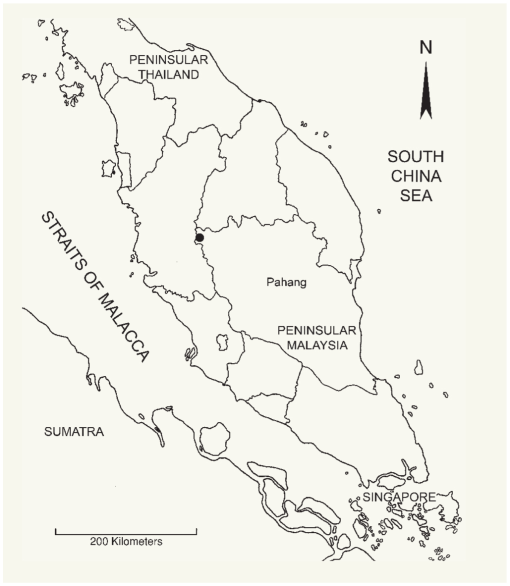 f03_83.jpg