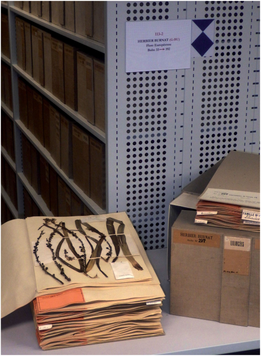 f03_143.jpg