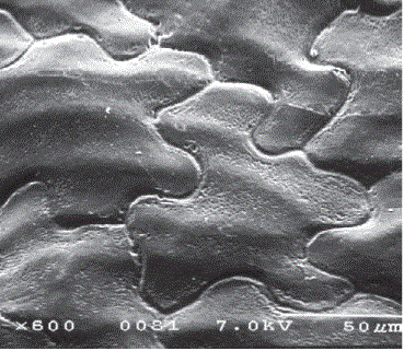 i0007-9367-83-4-150-f39.gif