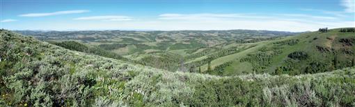 i0010-5422-120-3-666-f02.tif