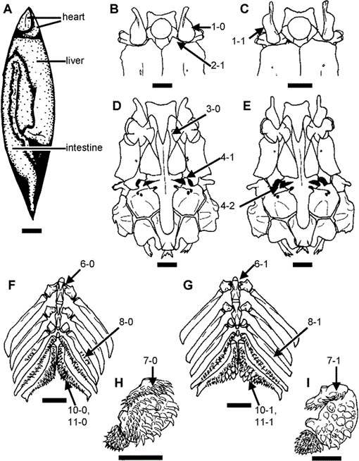 i0045-8511-2004-1-53-f01.gif