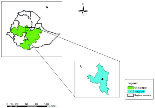 10.1177_11786302231164298-fig1.tif