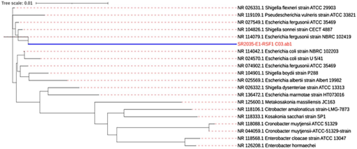 10.1177_11786302231166818-fig1.tif