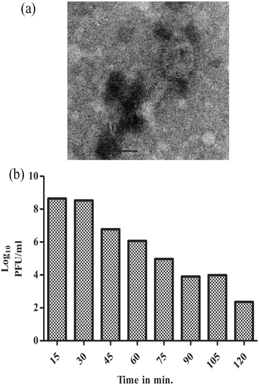 10.1177_11786302231166818-fig2.tif