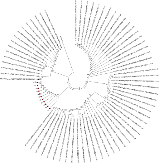 10.1177_11786302231188269-fig3.tif