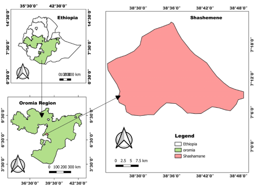 10.1177_11786302231216864-fig1.tif