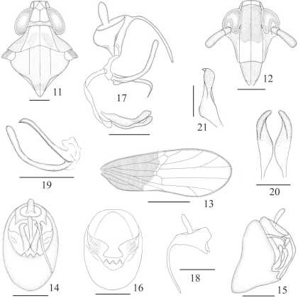f11_391.eps