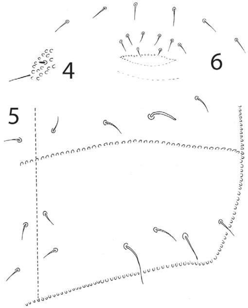 f04_1401.jpg