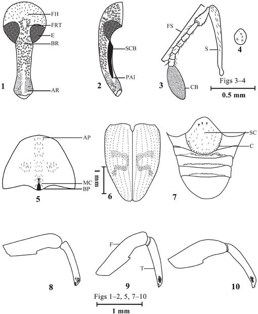 f01_30.jpg