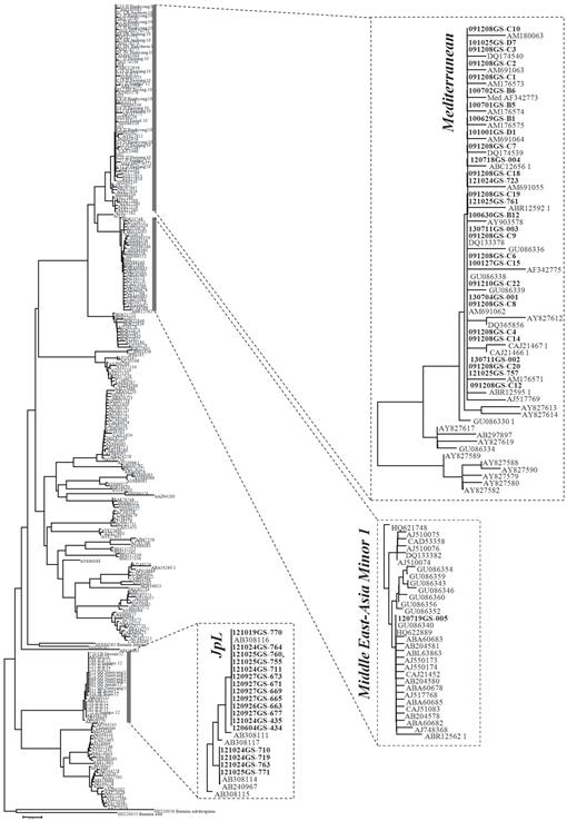 f01_155.jpg