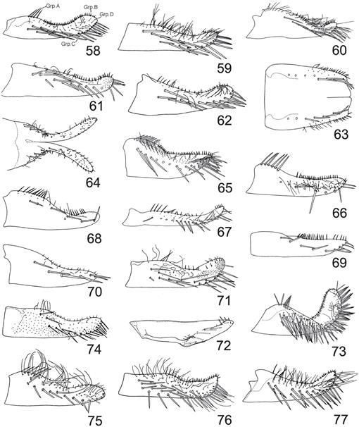 f58_1493.jpg