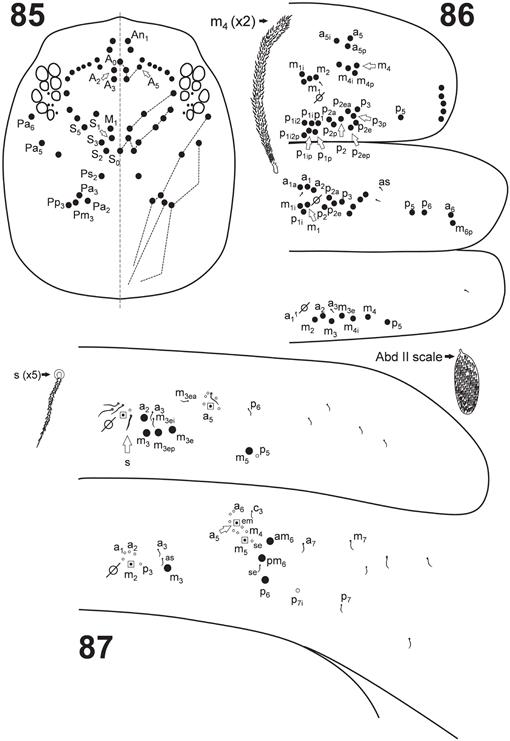 f85_1554.jpg