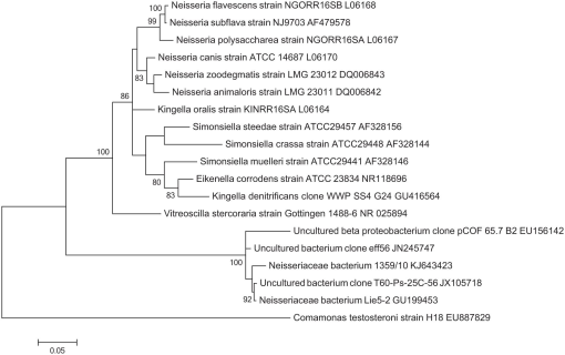 10.1177_2055116915597240-fig3.tif