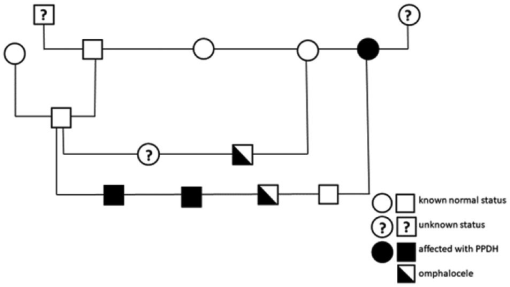 10.1177_2055116918804305-fig4.tif