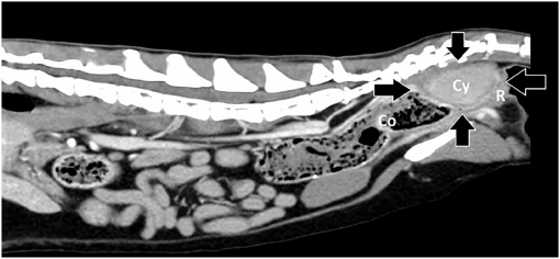 10.1177_2055116920916956-fig1.tif