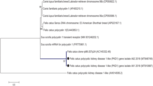 10.1177_20551169211070991-fig2.tif