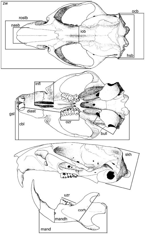 f01_155.jpg