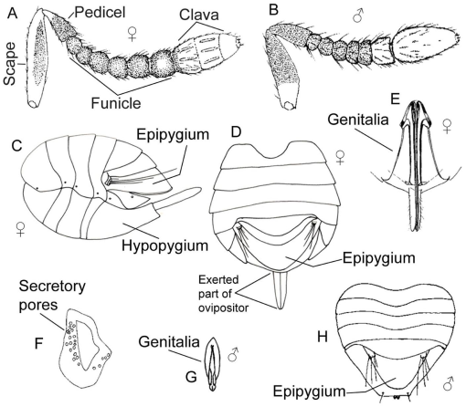 10.1177_1179543319857962-fig2.tif