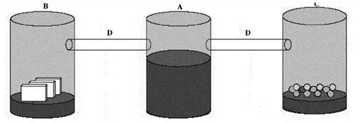 f02_01.jpg