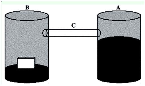 f03_01.jpg