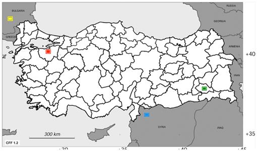 f03_01.jpg