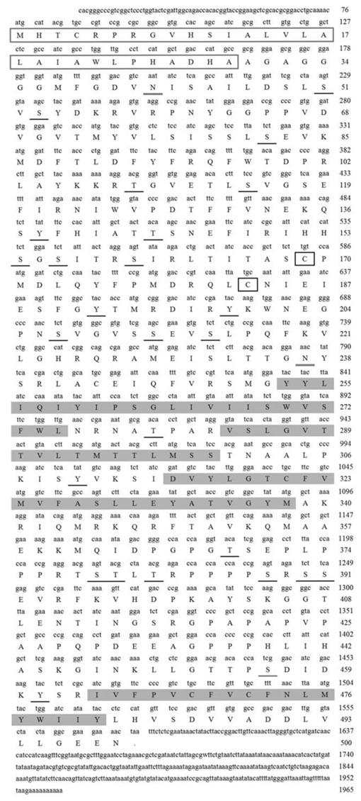 f01_01.jpg