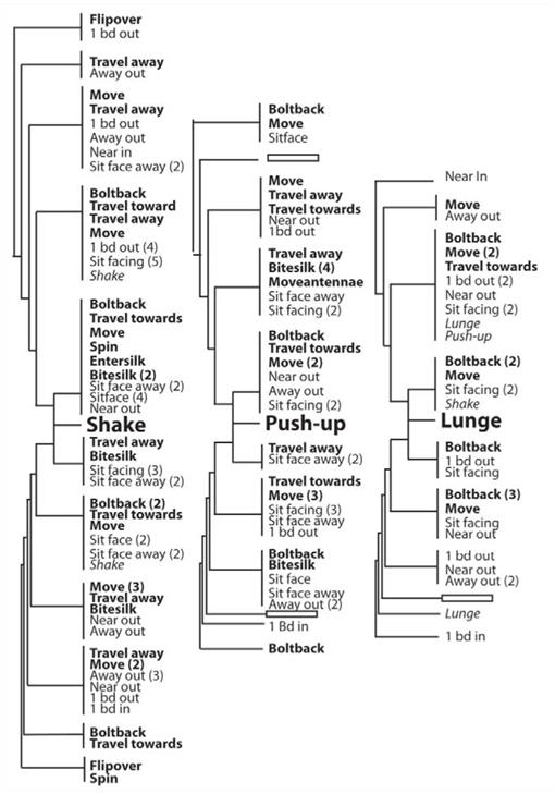 f08_01.jpg